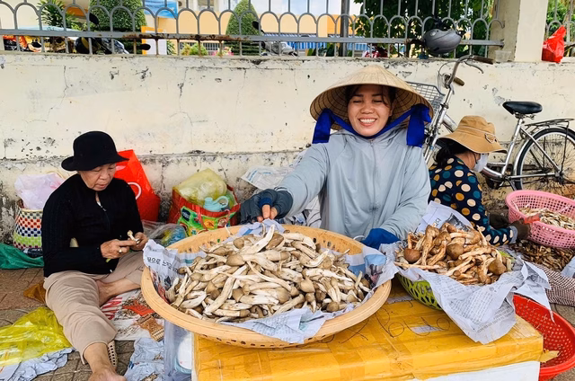 Nấm mối tại chợ Nấm mối được bán tại chợ