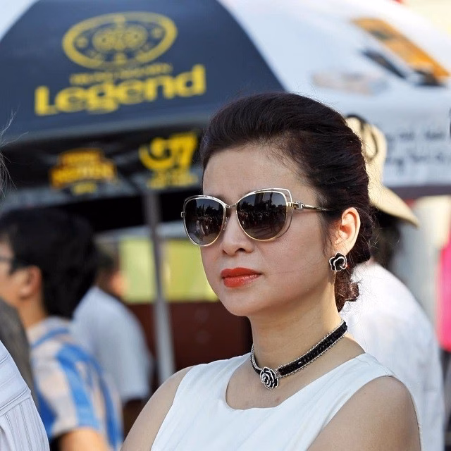 Nữ doanh nhân Lê Hoàng Diệp Thảo Nữ doanh nhân Lê Hoàng Diệp Thảo
