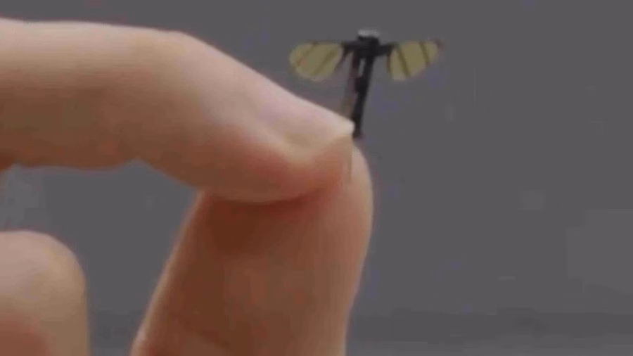 Thiết bị bay siêu nhỏ trên đầu ngón tay Sinh viên Liang Hexiang cầm thiết bị bay siêu nhỏ