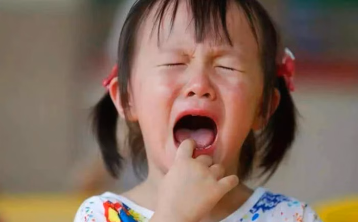 Dạy con sống trách nhiệm