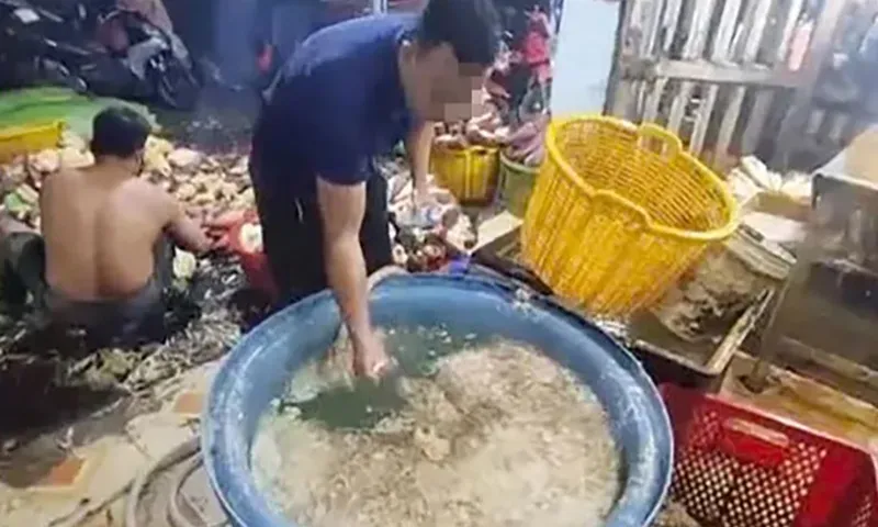 Bắp chuối sau khi bào sẽ được ngâm vào hóa chất để tẩy trắng Bắp chuối sau khi bào sẽ được ngâm vào hóa chất để tẩy trắng
