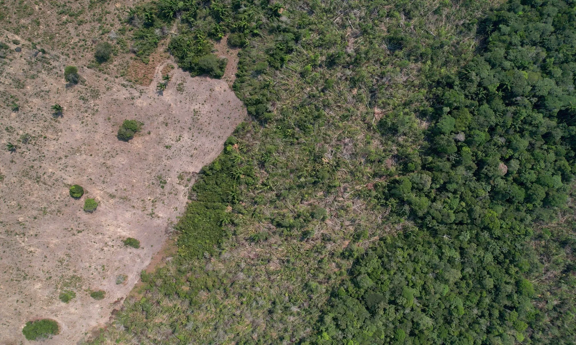 Một khu rừng nhiệt đới Amazon bị phá hủy tại thành phố Humaita, bang Amazonas, Brazil. Một khu rừng nhiệt đới Amazon bị phá hủy tại thành phố Humaita, bang Amazonas, Brazil.