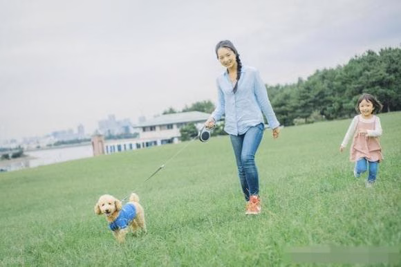 Đi bộ Đi bộ