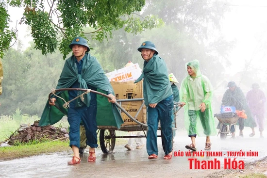 Người lính trở về làm nên cuộc hồi sinh giữa đất rừng “Ngôi sao vuông” lấp lánh