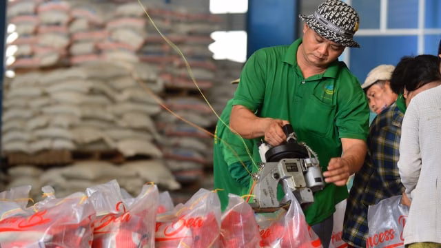 Phục dựng hệ sinh thái rừng: Hành trình hồi sinh và bảo tồn giá trị thiên nhiên Chủ động sớm, doanh nghiệp vẫn chật vật giữa thị trường carbon