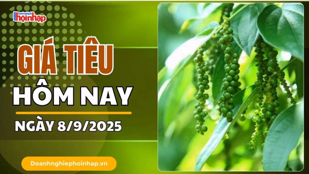 Giá lúa mì giảm vì thu hoạch toàn cầu tăng và đồng USD mạnh Giá tiêu hôm nay 8/9: Tiêu trong nước cao nhất là 152.000 đồng/kg