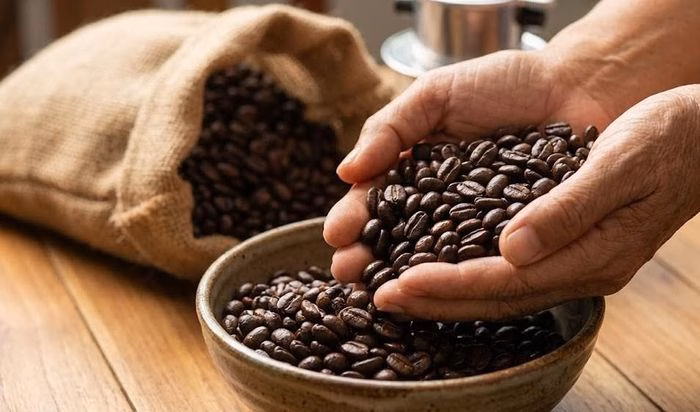 Biểu đồ gi&aacute; c&agrave; ph&ecirc; Việt Nam ng&agrave;y 11/1/2026