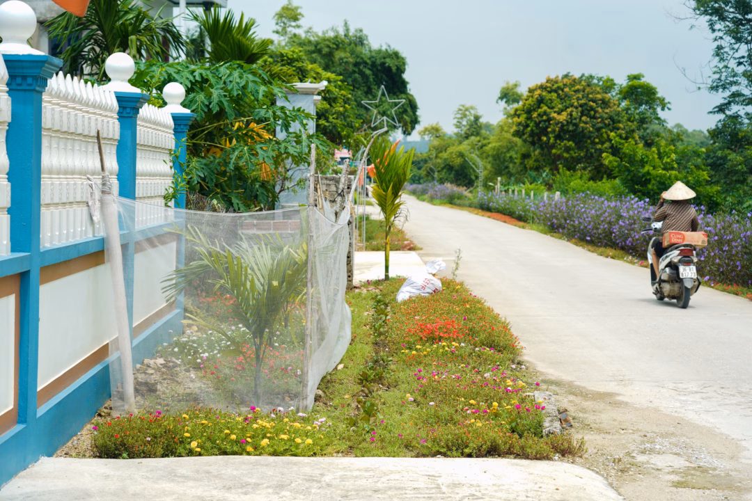 Thôn quê đẹp như tranh với đường sạch, hoa xanh ven sông Mỹ Quan đổi thay nhờ mô hình “Nhà sạch - Vườn đẹp - Hàng rào xanh”- Ảnh 6.