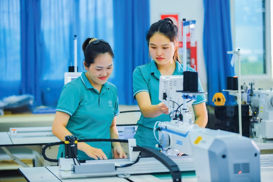 Thủ tướng Chính phủ chỉ đạo thúc đẩy xuất khẩu, phát triển thị trường ngoài nước