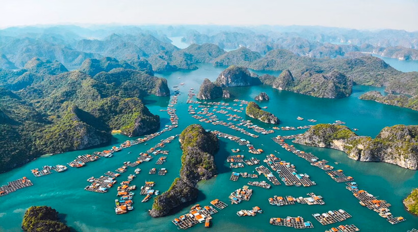 Cơ Hội Cuối Cùng Sở Hữu Căn Hộ “Tầm Nhìn Di Sản” Tại Flamingo Cát Bà Resorts Flamingo Cát Bà Resorts ôm trọn một trong những bãi tắm đẹp nhất Đông Nam Á
