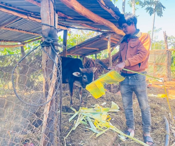 Anh Rơ Mah Yet &ndash; hộ gia đ&igrave;nh ti&ecirc;u biểu tho&aacute;t ngh&egrave;o