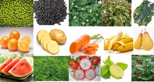 Mùa hè nên ăn gì để giải nhiệt và tốt cho sức khỏe?