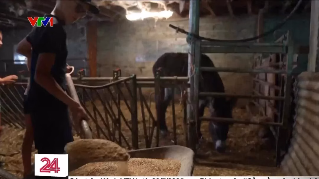 Công nghệ giúp du khách né điểm du lịch quá tải tại Pháp