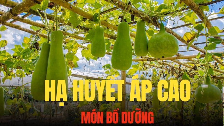 Món ăn nhẹ hạ huyết áp dễ mua ngoài chợ