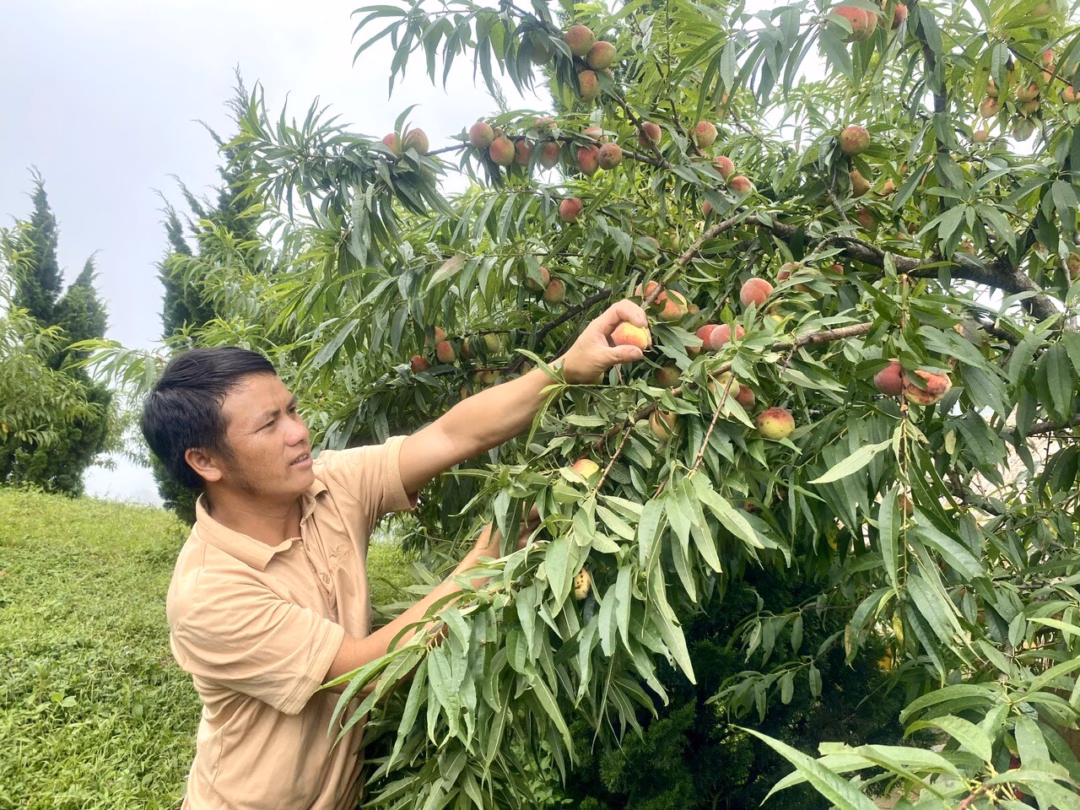 Người đàn ông Mông với cách làm kinh tế tổng hợp ở vùng biên