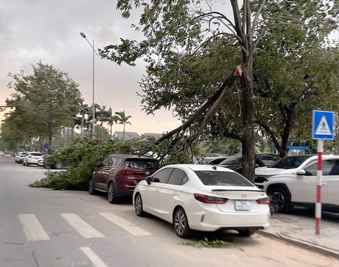 Chiếc Hyundai Tucson đỗ ở ven đường bị cành cây to gãy và rơi trúng kính xe ở quận Long Biên. Ảnh: Hoài Việt/OFFB