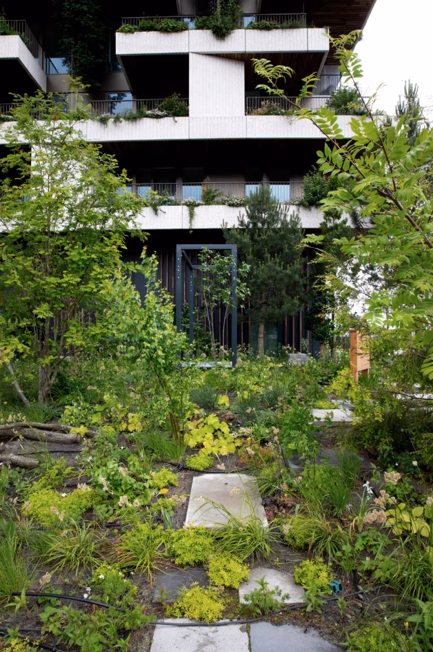 hình 3.png (1.43 MB)