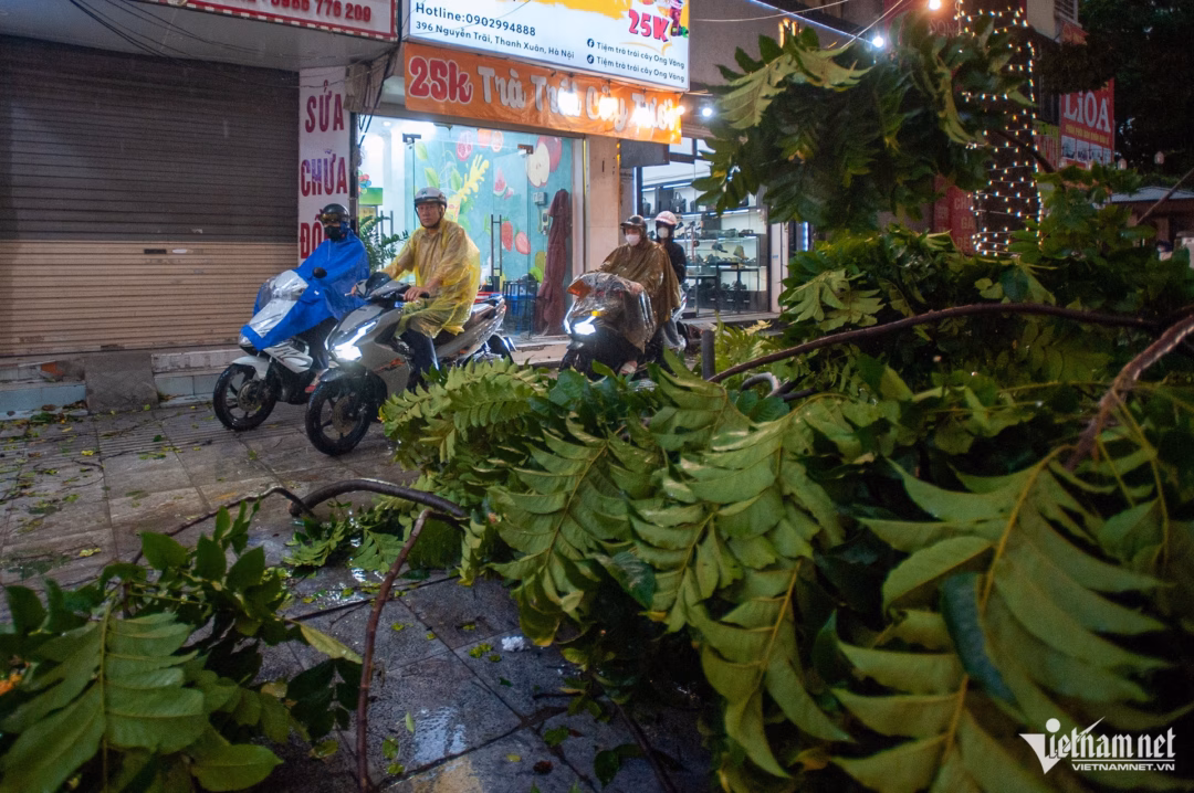 Nhiều người đi xe máy phải leo vỉa hè để thoát khỏi khu vực cây đổ.