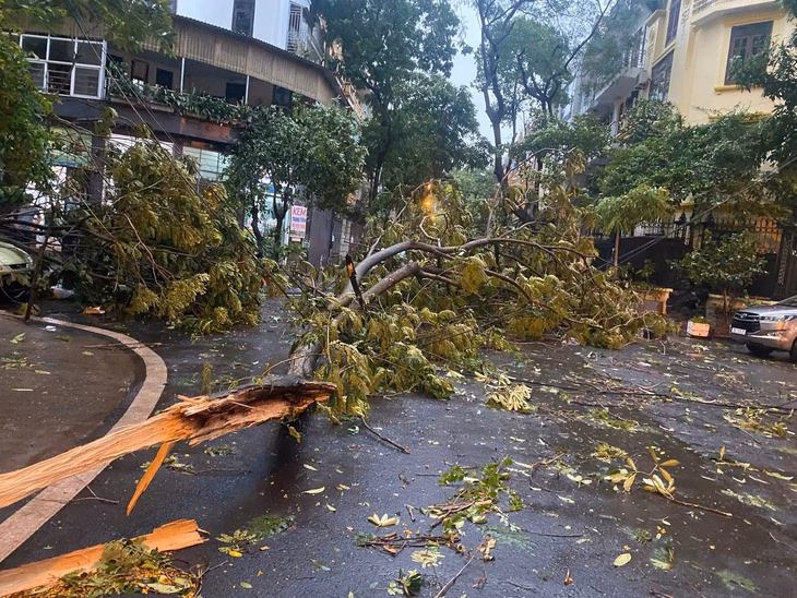 Khu đô thị Định Công, nhiều tán cây phượng gãy đổ chắn ngang đường - Ảnh: A.NAM