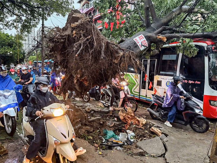 Khoảng 18h, khu vực nút giao Xa La - đường 70 giao thông hỗn loạn. Một cây cổ thụ đổ chắn ngang đường đè lên 2 ô tô (một xe khách và một xe tải). Giao thông qua khu vực này tê liệt, ùn tắc kéo dài - Ảnh: H.Q.
