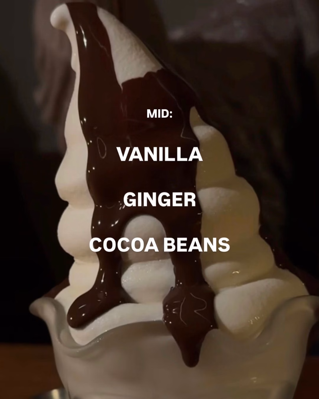 Hinh anh Đọc thêm: 4