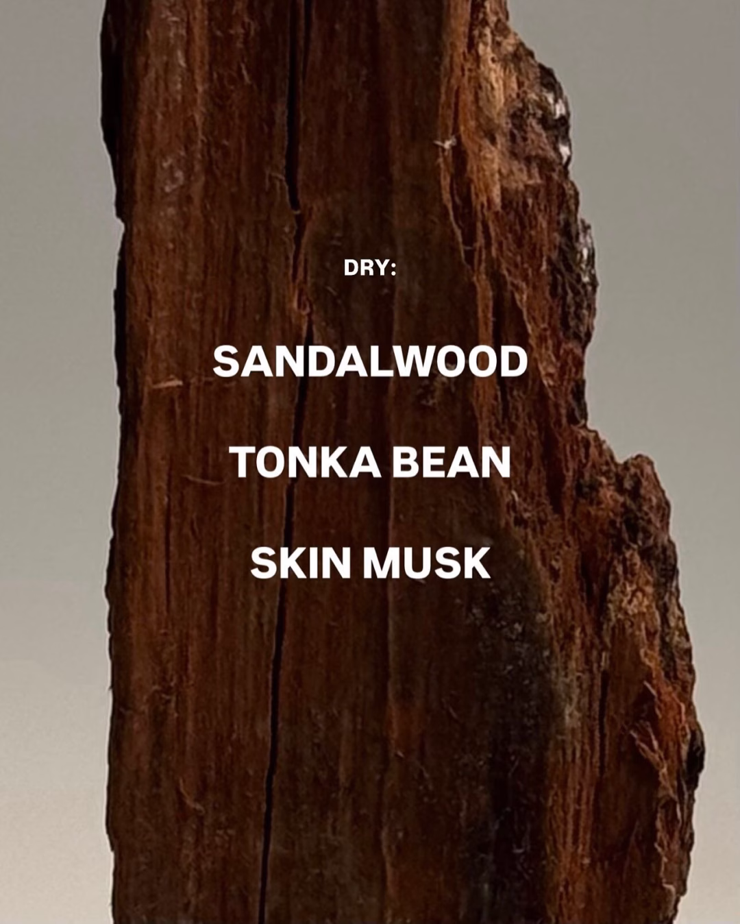 Hinh anh Đọc thêm: 5