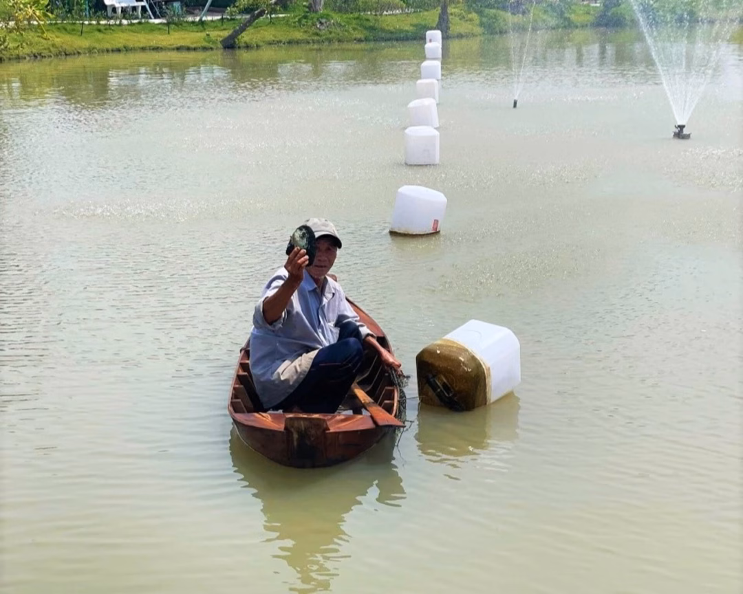 Vườn sinh thái lấy ngọc trai độc đáo ở Đồng Tháp thu hút khách du lịch