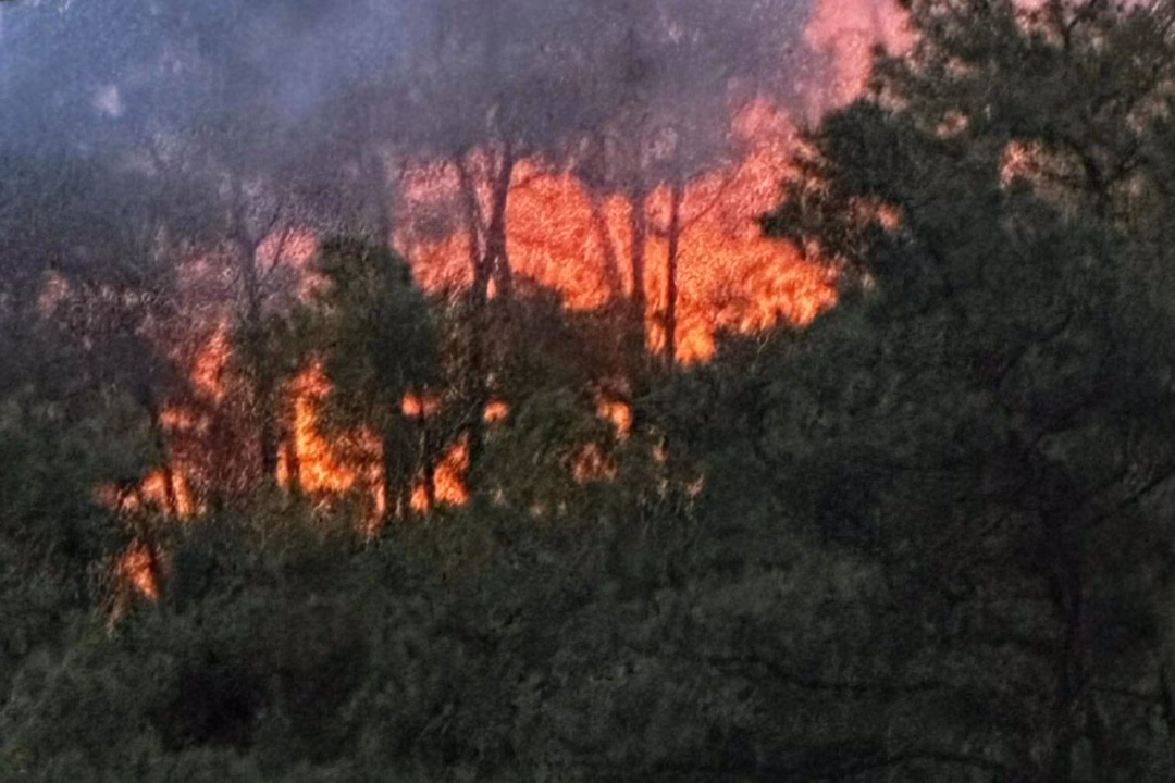 Hàng trăm người khống chế đám cháy rừng thông ở Nghệ An