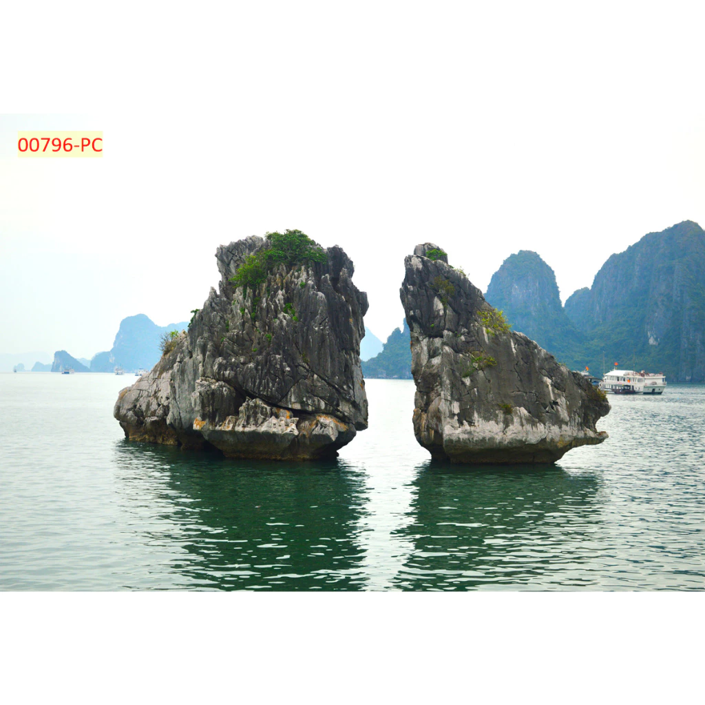 Làm thế nào để dán tranh tường vịnh Hạ Long lên tường mà không bị bong tróc?