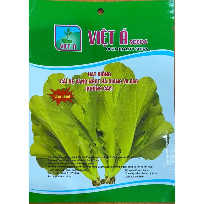 Làm thế nào để trồng cải bẹ vàng ngọt Hà Giang VA.666 không bị cay mà vẫn giữ được độ ngọt giòn?