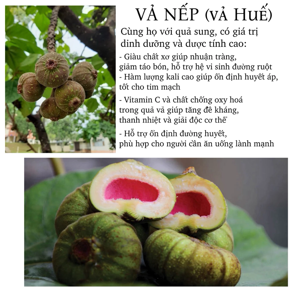 Mua Vả Nếp Huế Tươi Về Nhà, Tôi Đã Mất Mấy Lần Mới Biết Cách Chọn Mua Đúng Loại Ngọt Ngon