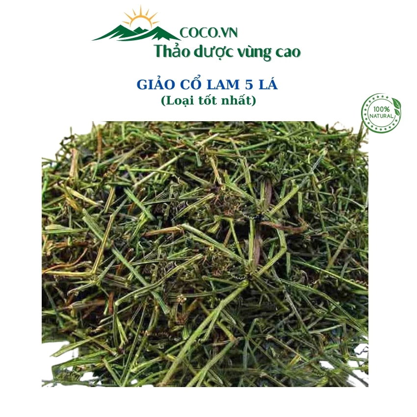 Mỡ máu cao, huyết áp không ổn định? Tôi đã giảm gần 20% chỉ số mỡ máu sau khi uống trà giảo cổ lam Sapa này!