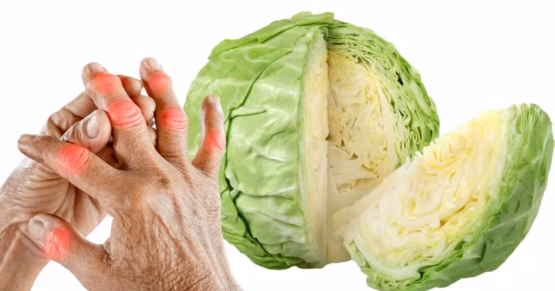 Cách dùng lá bắp cải giảm đau gút: Bí quyết đơn giản, tiết kiệm