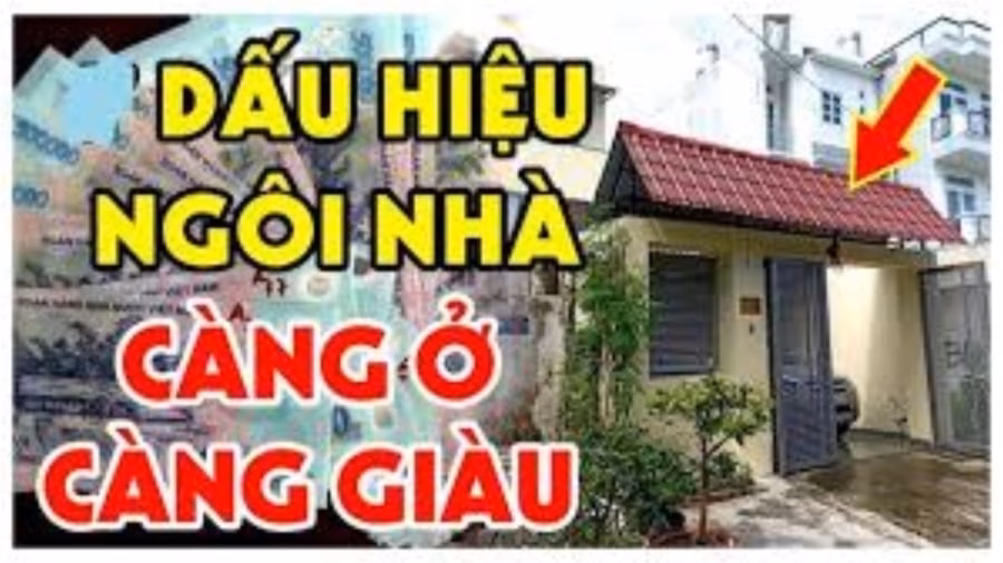 Chim ch&oacute;c về l&agrave;m tổ