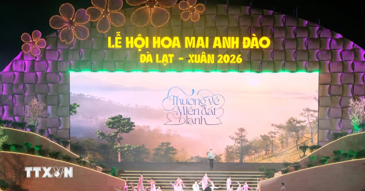 Lễ hội hoa mai anh đào Đà Lạt 2026: Trải nghiệm mùa xuân ngàn hoa trên phố núi