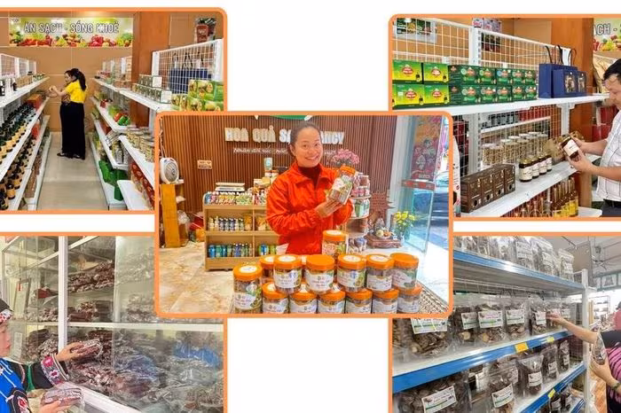 OCOP chuẩn bị bùng nổ thị trường Tết 2026 với đa dạng sản phẩm địa phương