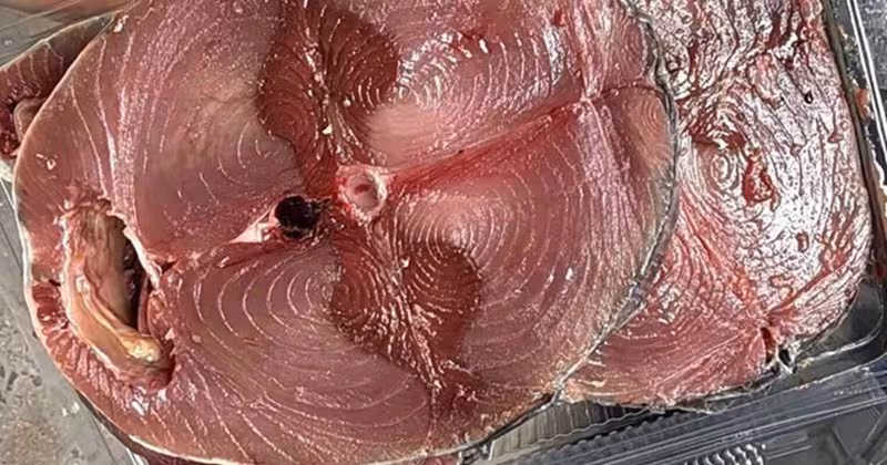 Top 6 loại cá giàu vitamin D bạn nên ăn mỗi tuần để tăng cường sức khỏe