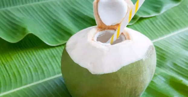 Nước dừa Nước dừa tươi