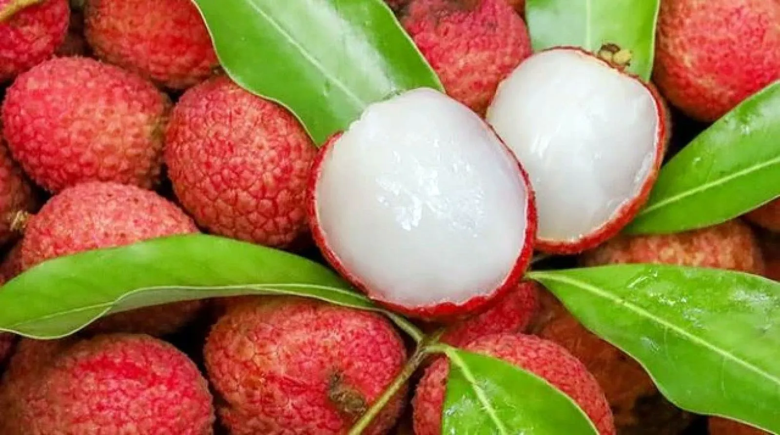 Ăn quá nhiều vải gây hậu quả nghiêm trọng Người phụ nữ ăn hơn 100 quả vải trong ngày