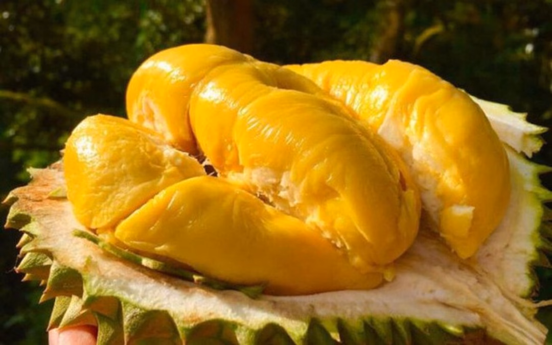 5 Loại Trái Cây Giúp Da Trắng Mịn Vào Mùa Hè Muốn da đẹp luôn ẩm mịn, trắng sáng vào mùa hè? Ăn ngay 5 loại trái cây "thần kỳ" này! - Ảnh 2.