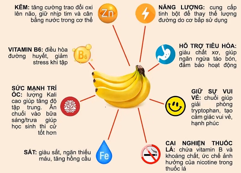Lá hen – “Cứu cánh” hỗ trợ điều trị bệnh hô hấp Loại quả được mệnh danh là “trái cây hạnh phúc”, rất giàu dinh dưỡng cho phổi, nhưng thường bị người Việt bỏ qua - 2