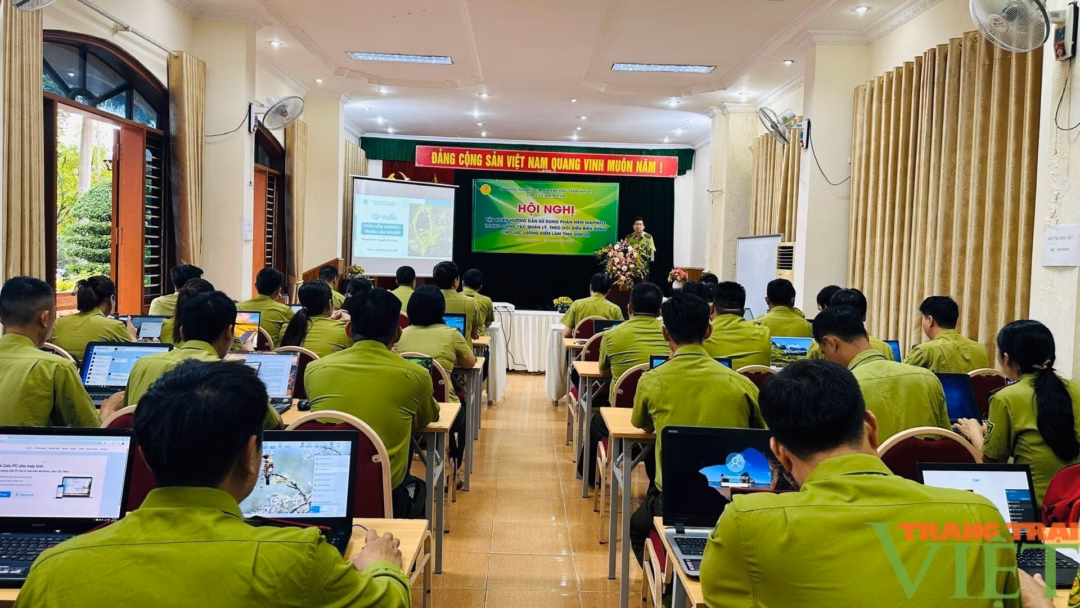 Sơn La tập huấn sử dụng phần mềm quản lý rừng trong thời đại chuyển đổi số Một số hình ảnh tại hội nghị tập huấn. Ảnh: Mai Anh