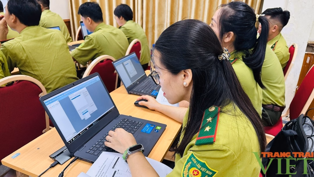 Sơn La tập huấn sử dụng phần mềm quản lý rừng trong thời đại chuyển đổi số