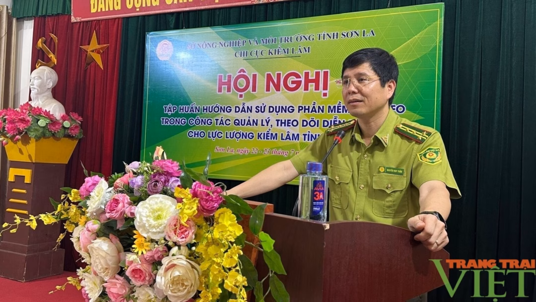 Sơn La tập huấn sử dụng phần mềm quản lý rừng trong thời đại chuyển đổi số