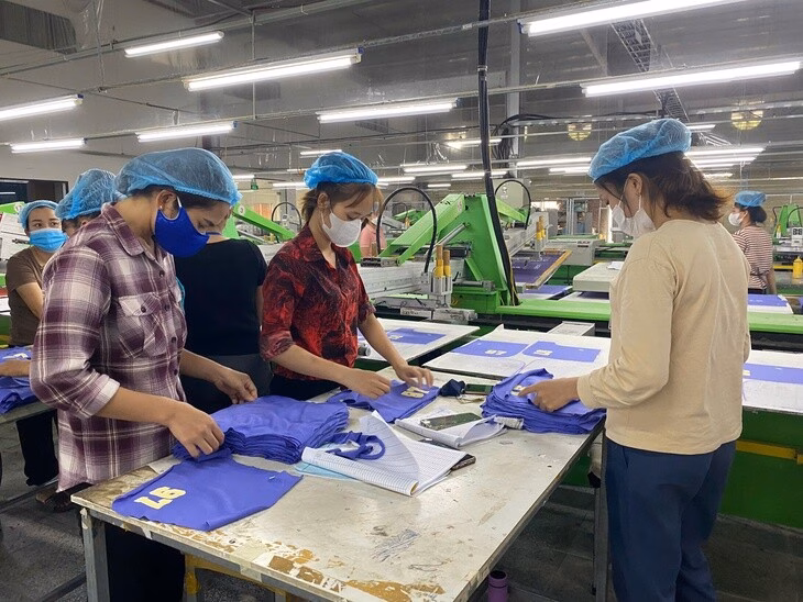 Đề xuất thành lập tổ phản ứng nhanh 'cấp cứu chính sách' cho doanh nghiệp - Ảnh 5.
