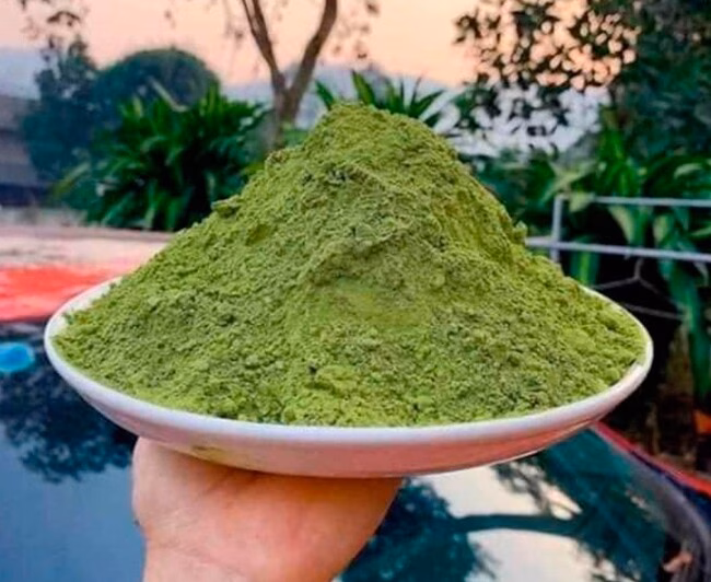 Thạch găng tươi m&aacute;t trong ly