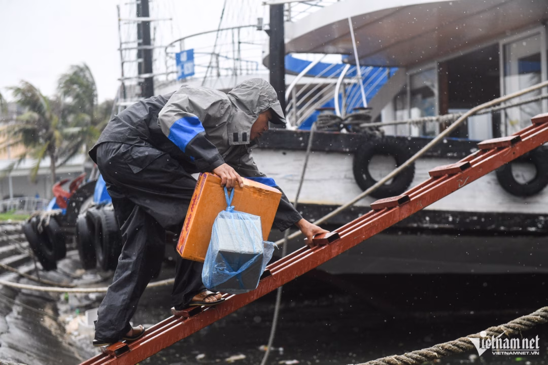 Hàng trăm tàu du lịch tại Vịnh Hạ Long ngừng hoạt động避 bão Trong mưa gió phập phù, các thuyền viên chuẩn bị lương thực dự trữ. Theo chia sẻ, khu vực neo đậu có thuyền viên túc trực 24/7 để điều chỉnh dây nối và xử lý các tình huống bất chợt.