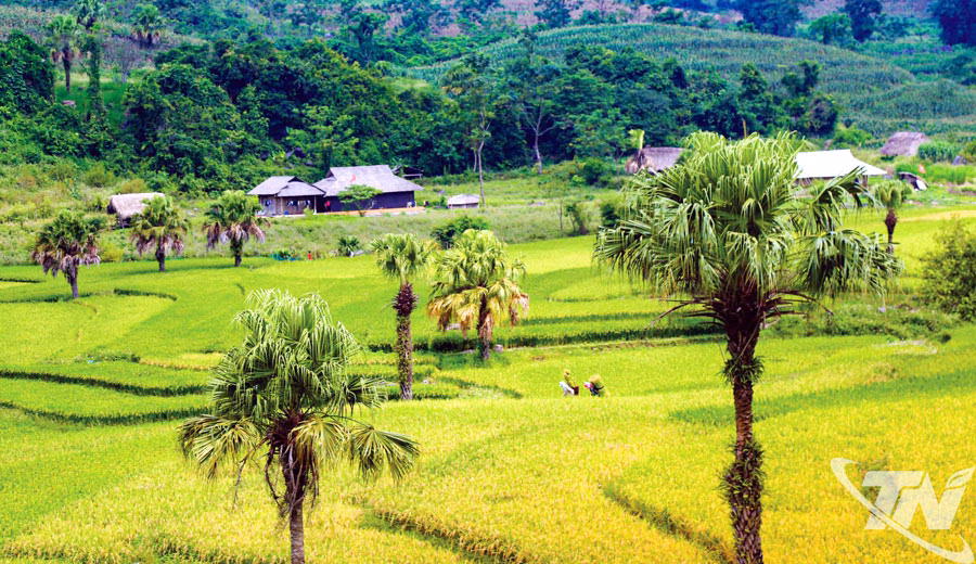 Bản Tèn xã Văn Lăng hứa hẹn là một điểm đến mới.