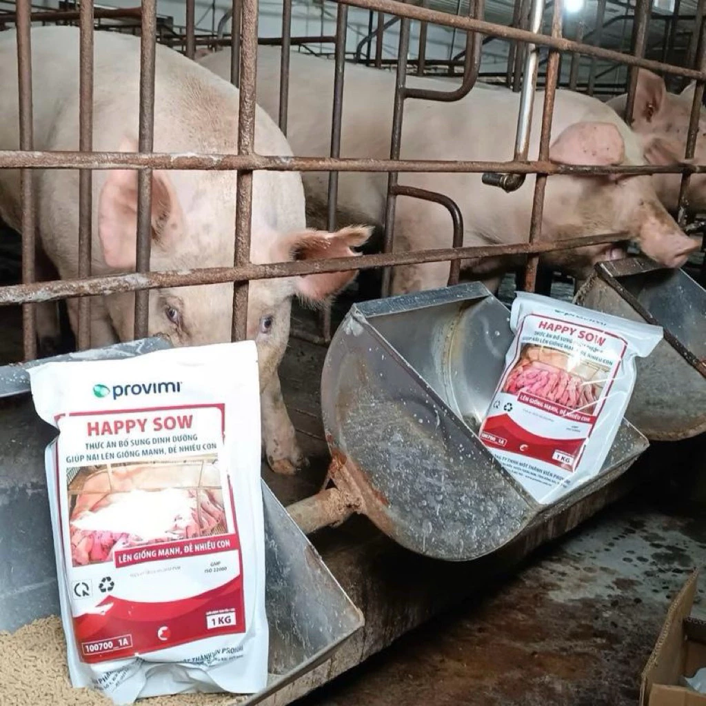 Làm thế nào để tối ưu hóa quá trình sinh sản của heo với Provimi Happy Sow 1kg mà không lãng phí thức ăn?