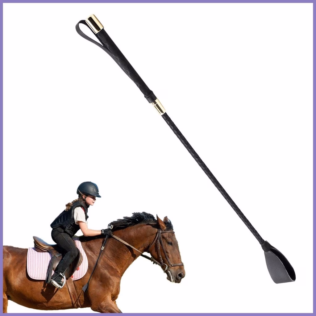 Làm thế nào để chọn đúng roi da cưỡi ngựa phù hợp cho người mới bắt đầu?